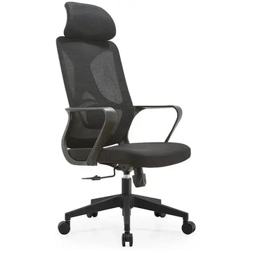 Best Office Ergonomic Mesh Chair (Model Ergo100) - Ornate Life