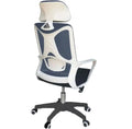 Best Office Ergonomic Mesh Chair (Model Ergo100) - Ornate Life