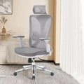 Best Office Ergonomic Mesh Chair (Model Ergo200) - Ornate Life