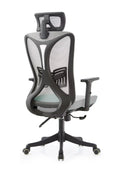 Best Office Ergonomic Mesh Chair (Model Ergo200) - Ornate Life