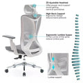 Best Office Ergonomic Mesh Chair (Model Ergo200) - Ornate Life