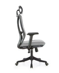 Best Office Ergonomic Mesh Chair (Model Ergo200) - Ornate Life