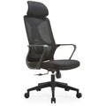 Best Office Ergonomic Mesh Chair (Model Ergo100) - Ornate Life