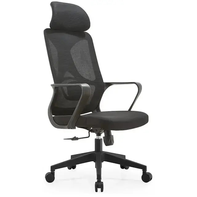 Best Office Ergonomic Mesh Chair (Model Ergo100) - Ornate Life