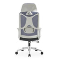 Best Office Ergonomic Mesh Chair (Model Ergo100) - Ornate Life