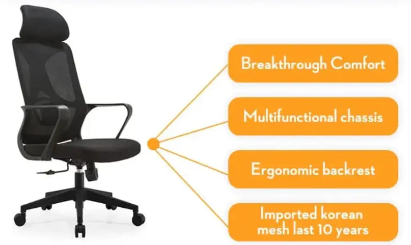 Best Office Ergonomic Mesh Chair (Model Ergo100) - Ornate Life