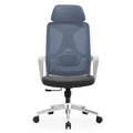 Best Office Ergonomic Mesh Chair (Model Ergo100) - Ornate Life