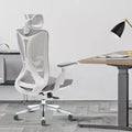 Best Office Ergonomic Mesh Chair (Model Ergo200) - Ornate Life