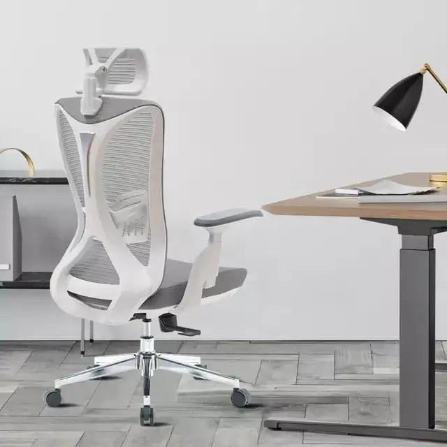 Best Office Ergonomic Mesh Chair (Model Ergo200) - Ornate Life