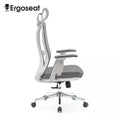 Best Office Ergonomic Mesh Chair (Model Ergo200) - Ornate Life